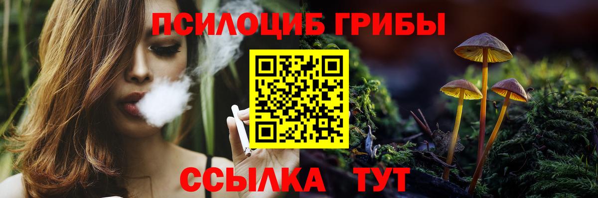 Белореченск  Галлюциногенные грибы Psilocybine cubensis  дарнет шоп  Вход с VPN 